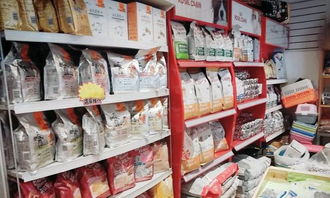 一站式宠物生活服务 美容、洗浴、配种与用品零售